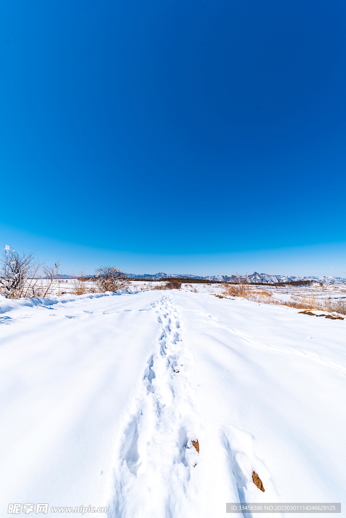 蓝天雪地