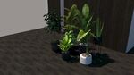 室内盆栽植物模型