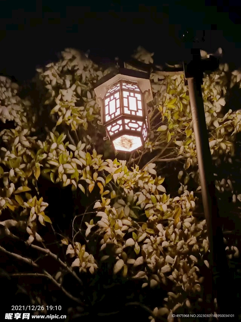 灯笼