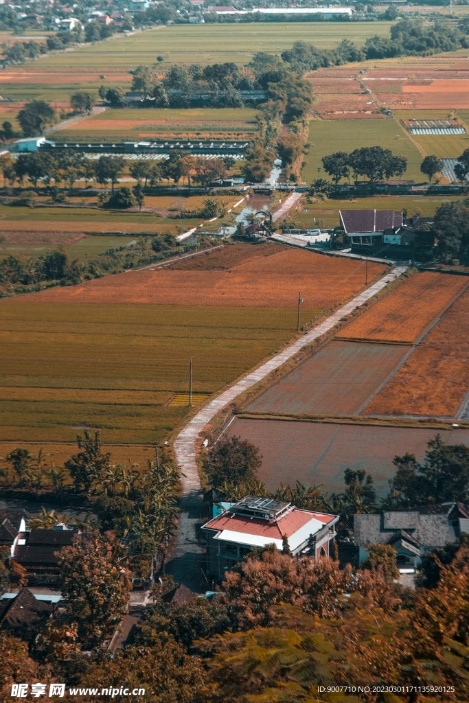 黑土地