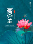 夏至海报           
