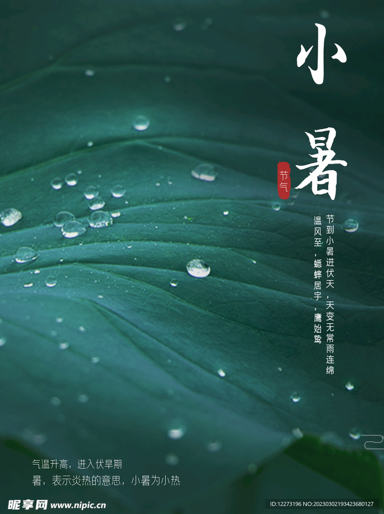 小暑海报           