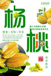 杨桃