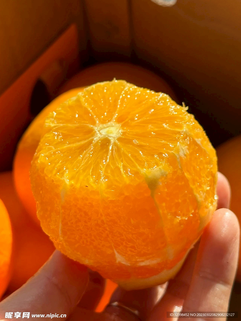 橙子