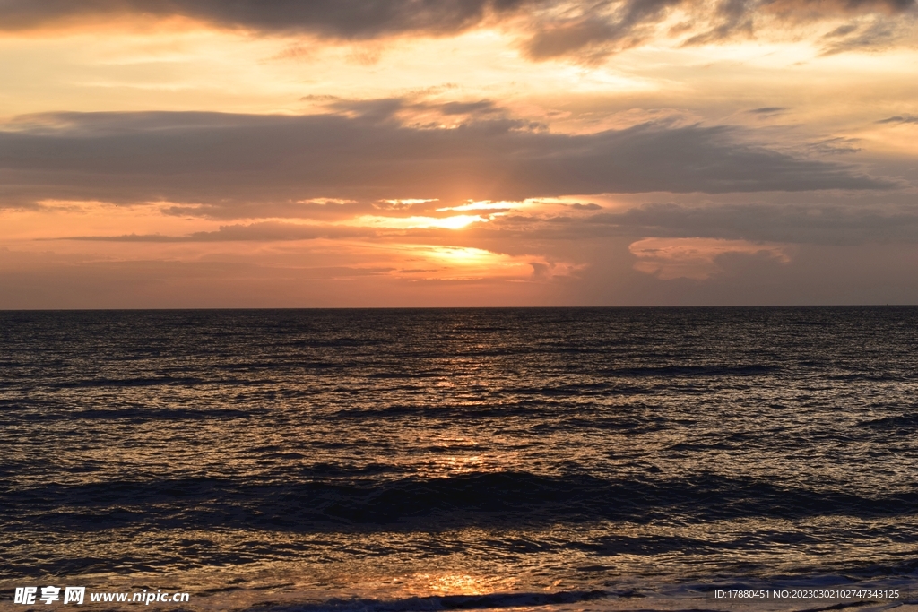 大海