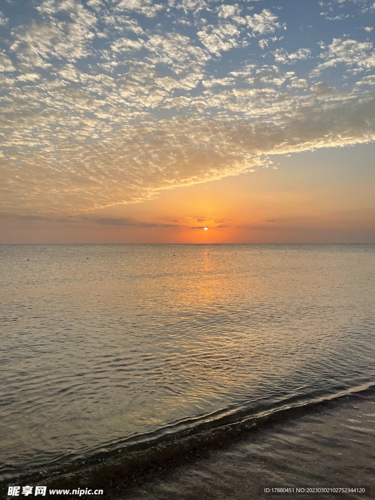 大海