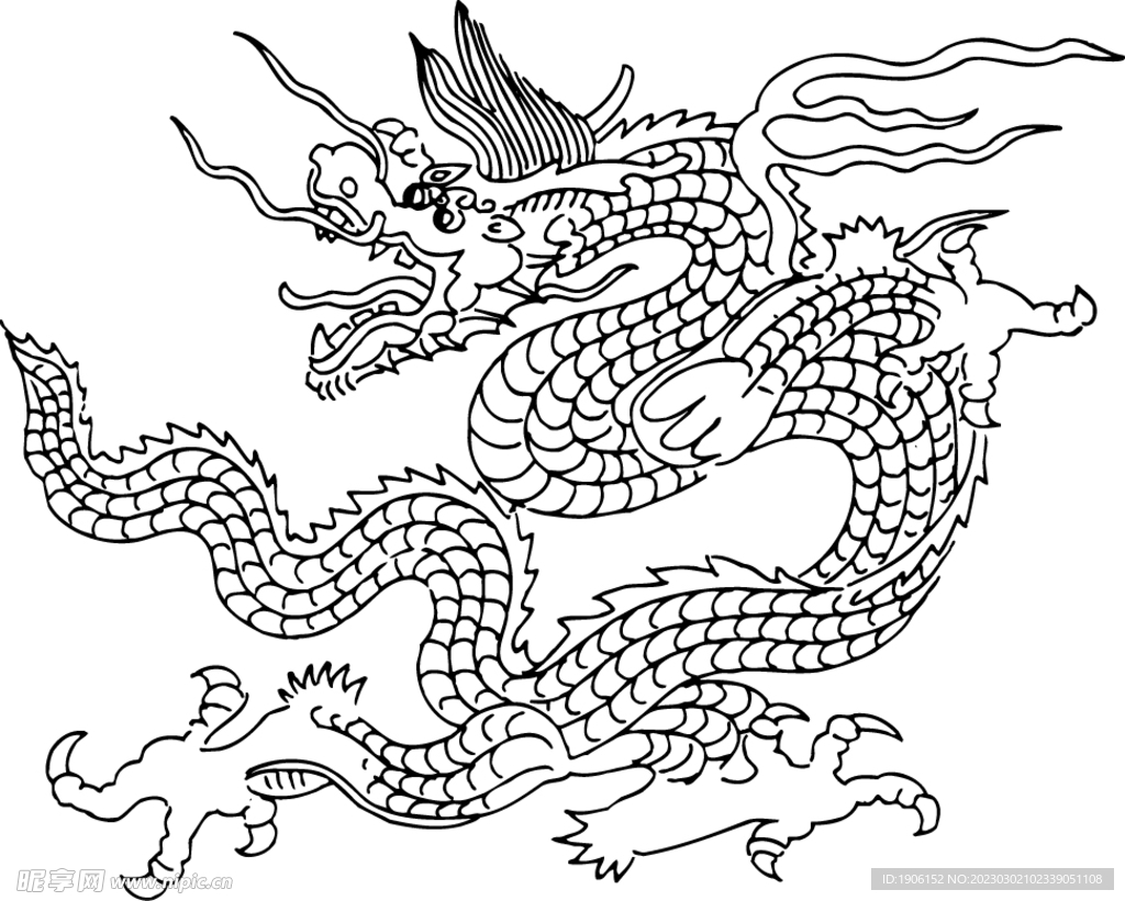 龙