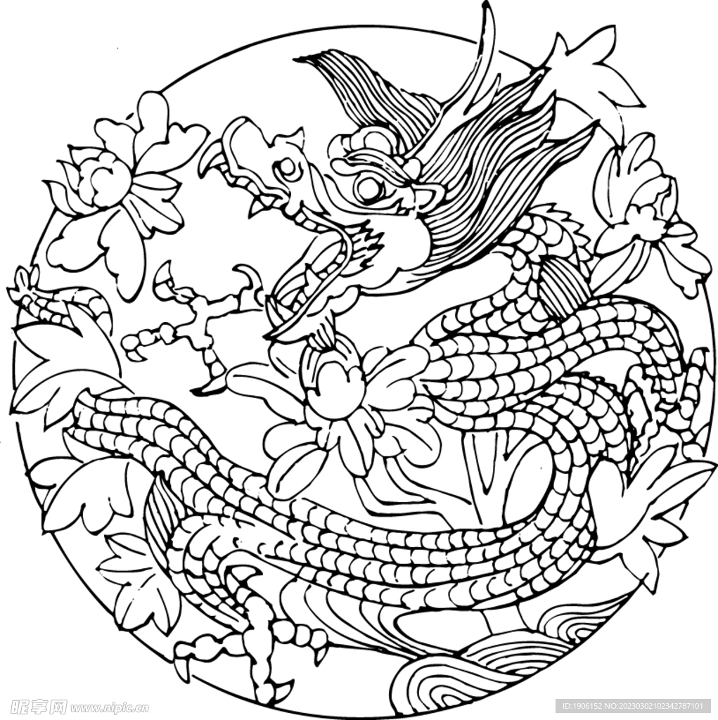 龙