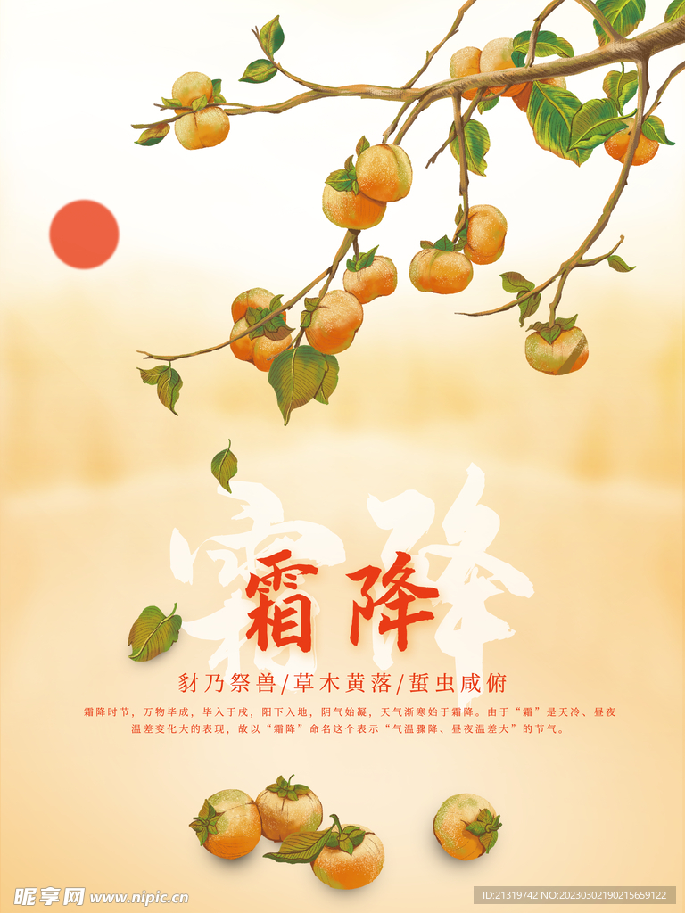 霜降手绘风格海报