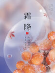 霜降节气海报