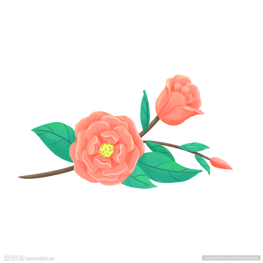 卡通花朵