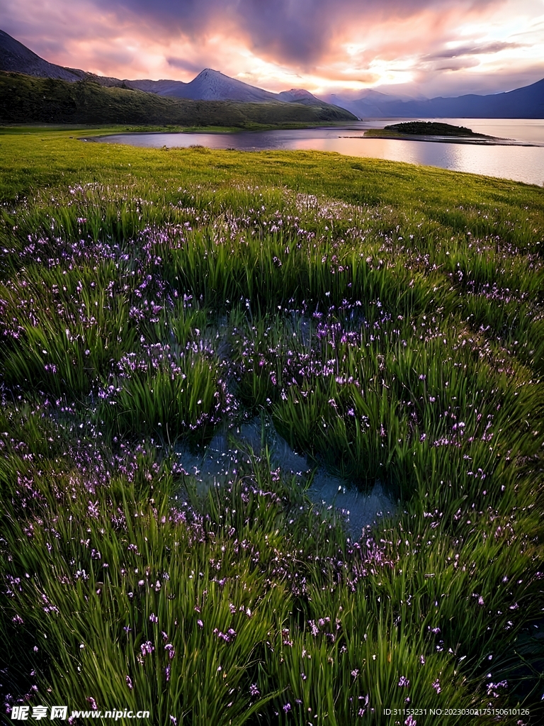 山水风景