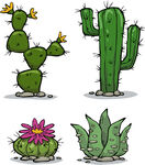 仙人掌植物