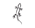 蜥蜴logo