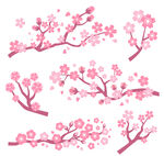 樱花素材