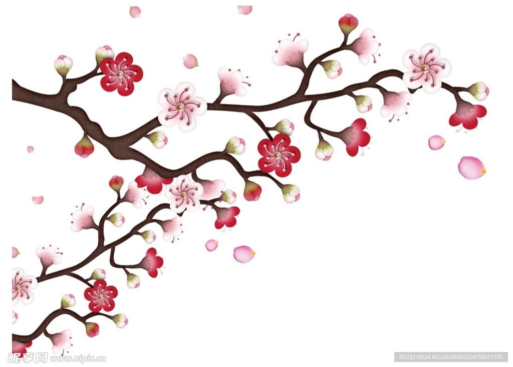 梅花素材