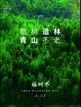 公益植树亲子植树
