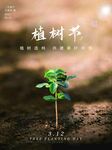 植树节活动 