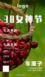 车厘子 樱桃
