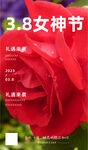 玫瑰花