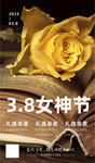 玫瑰花