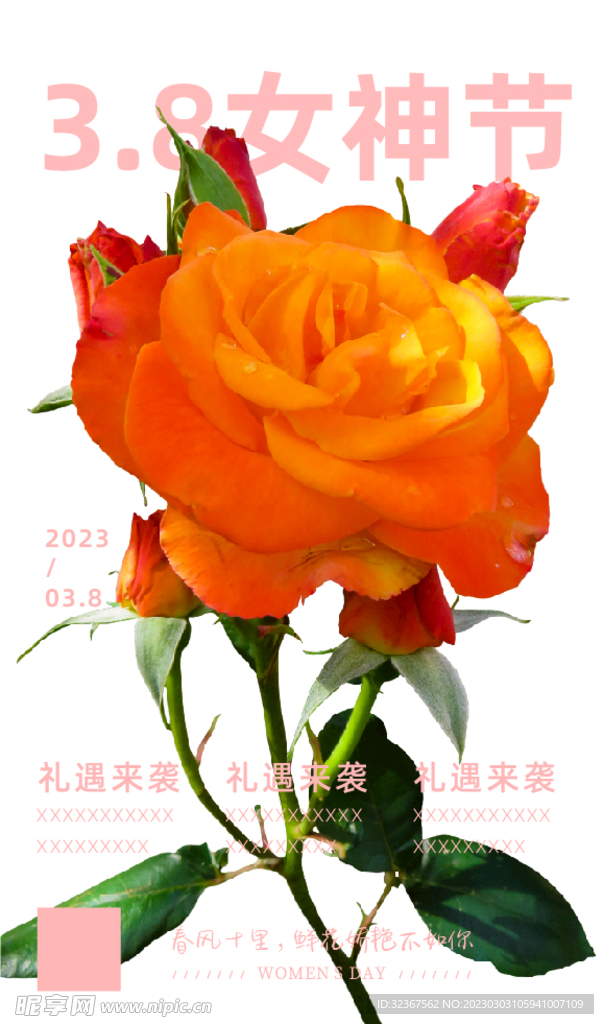 玫瑰花