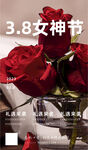玫瑰花