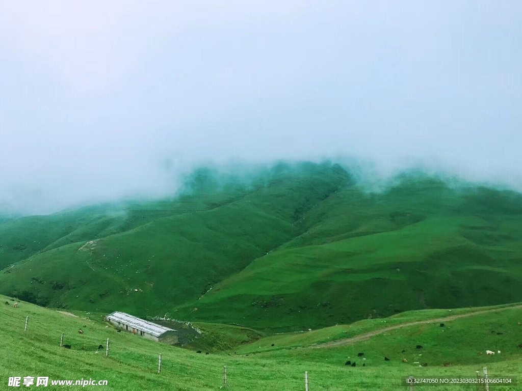 会泽大海草山一