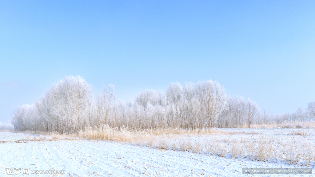 冬季雪景