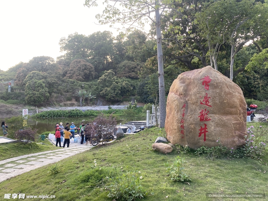 曹边龙井