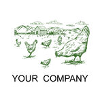 鸡养殖logo设计