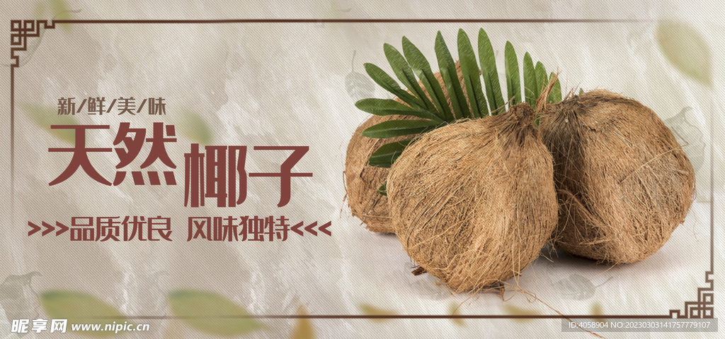 天然椰子