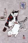 武士猫