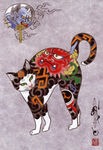 武士猫