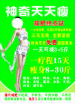 神奇天天瘦