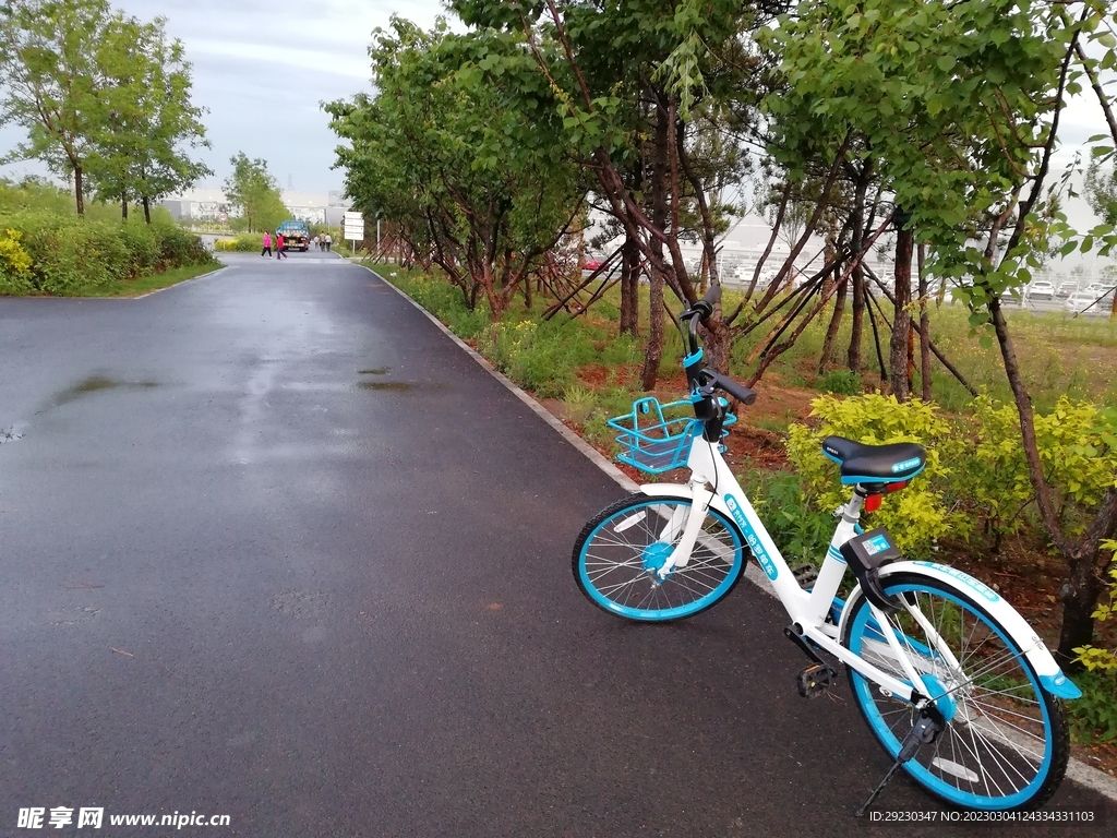 雨后的马路