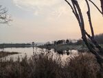 湖景