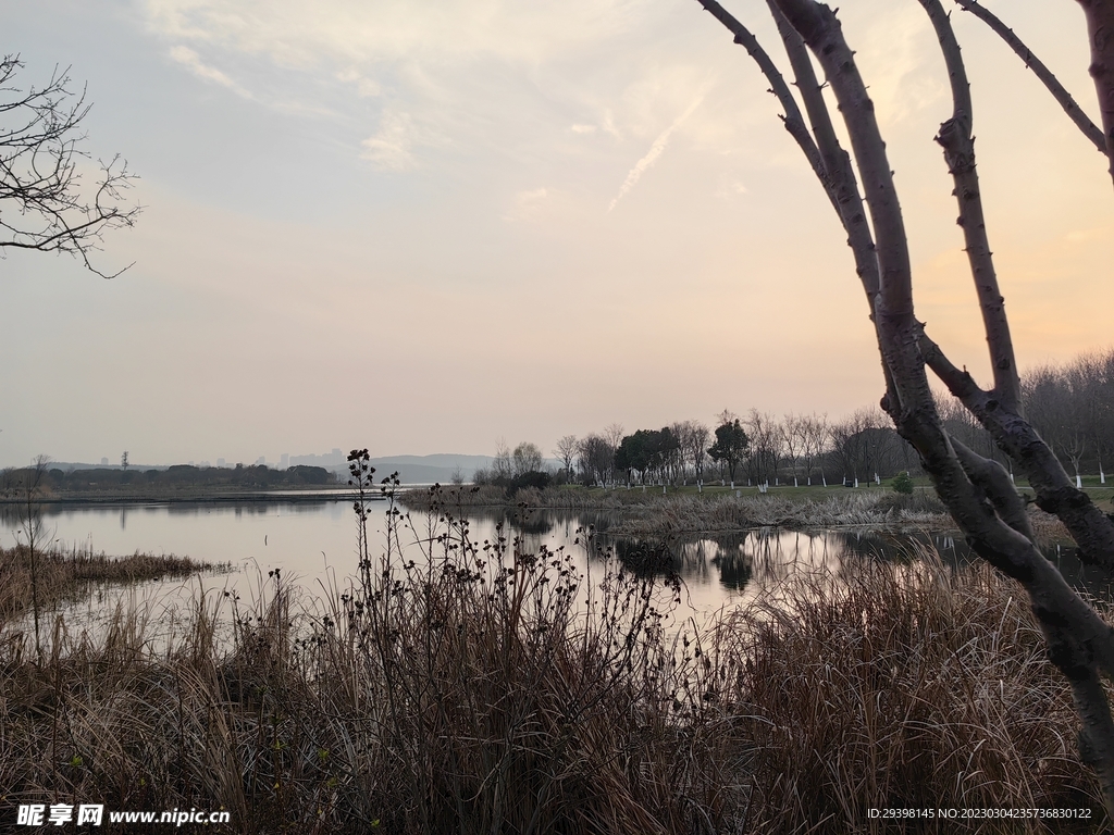 湖景