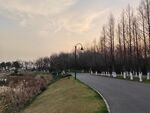 夕阳下的小路