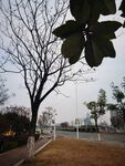 城市道路