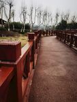 公园小路
