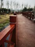 公园小路