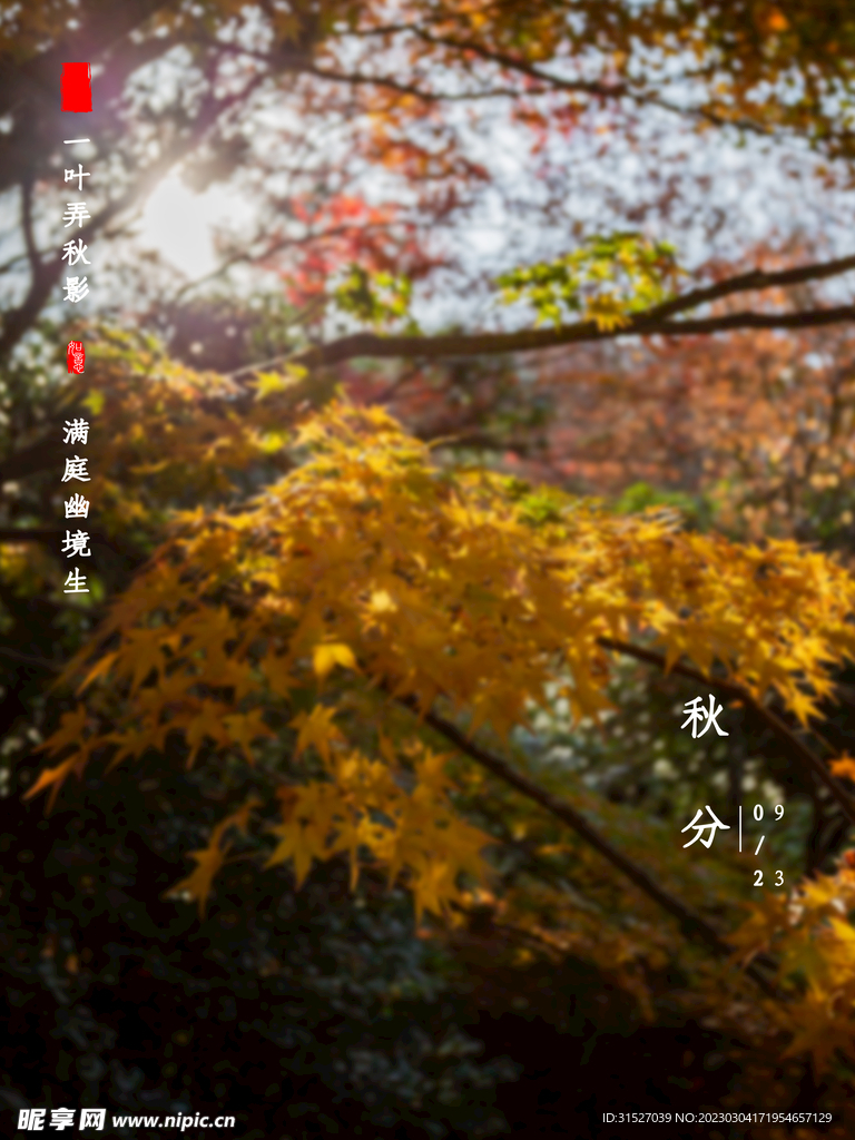 秋分节气海报
