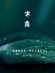 简约大气寒露节气海报