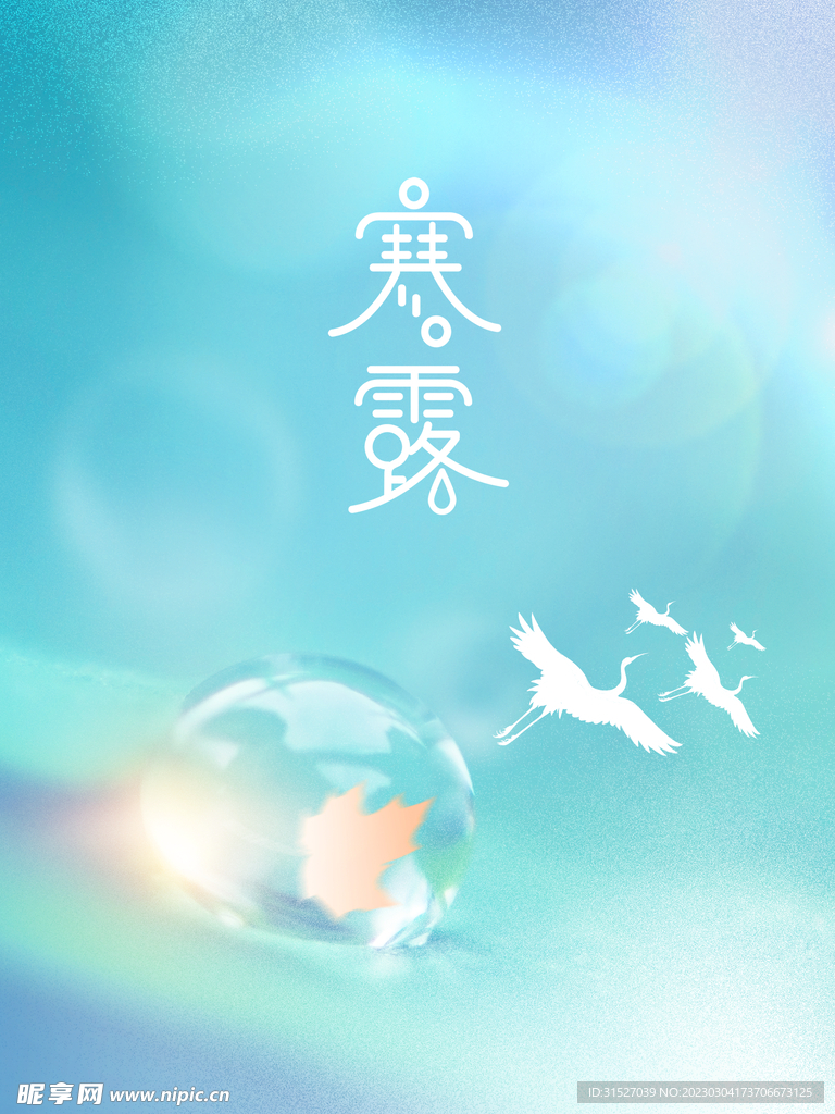 简约寒露节气海报