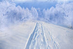 冬天雪路