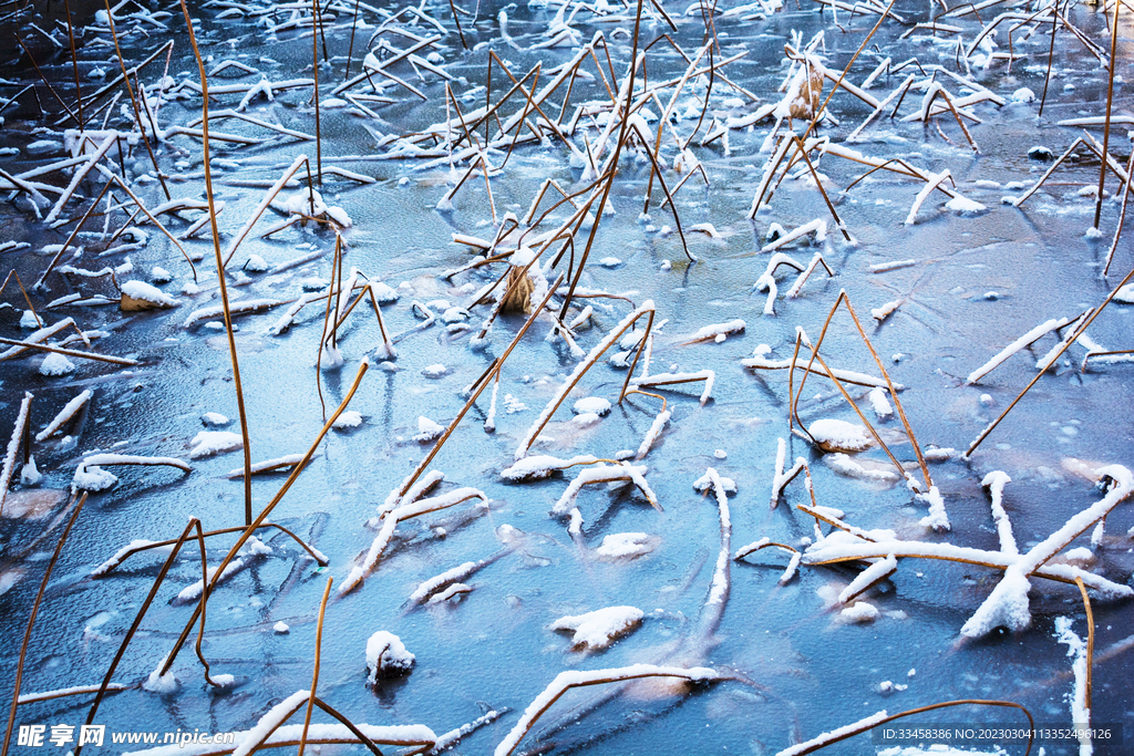 池水上雪