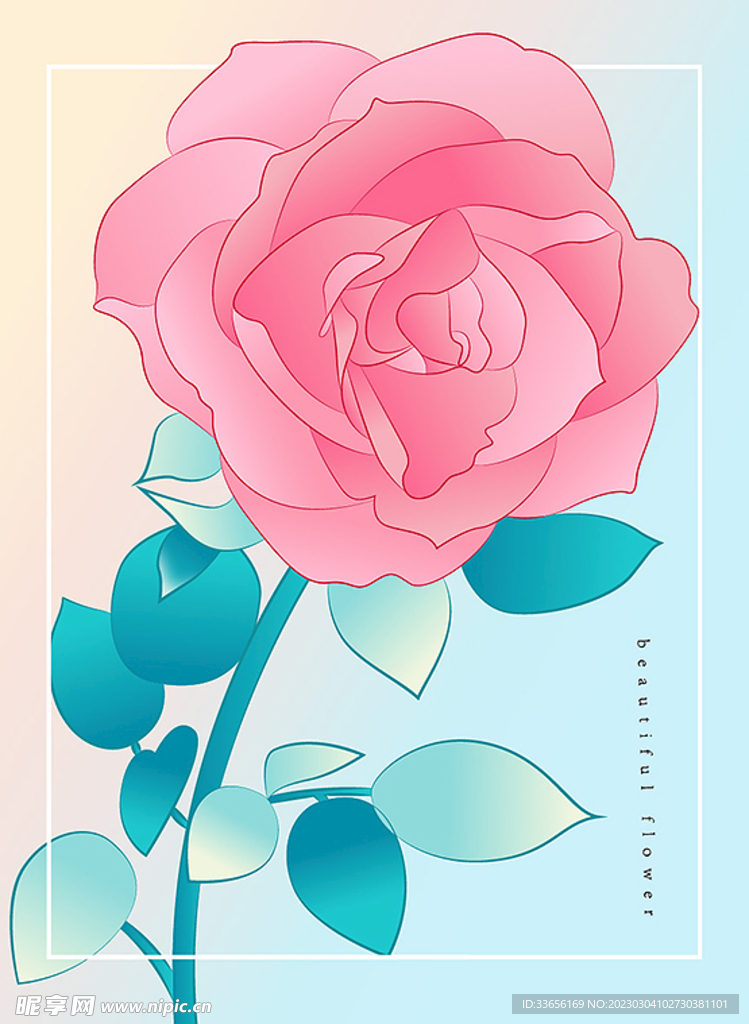 花卉插画