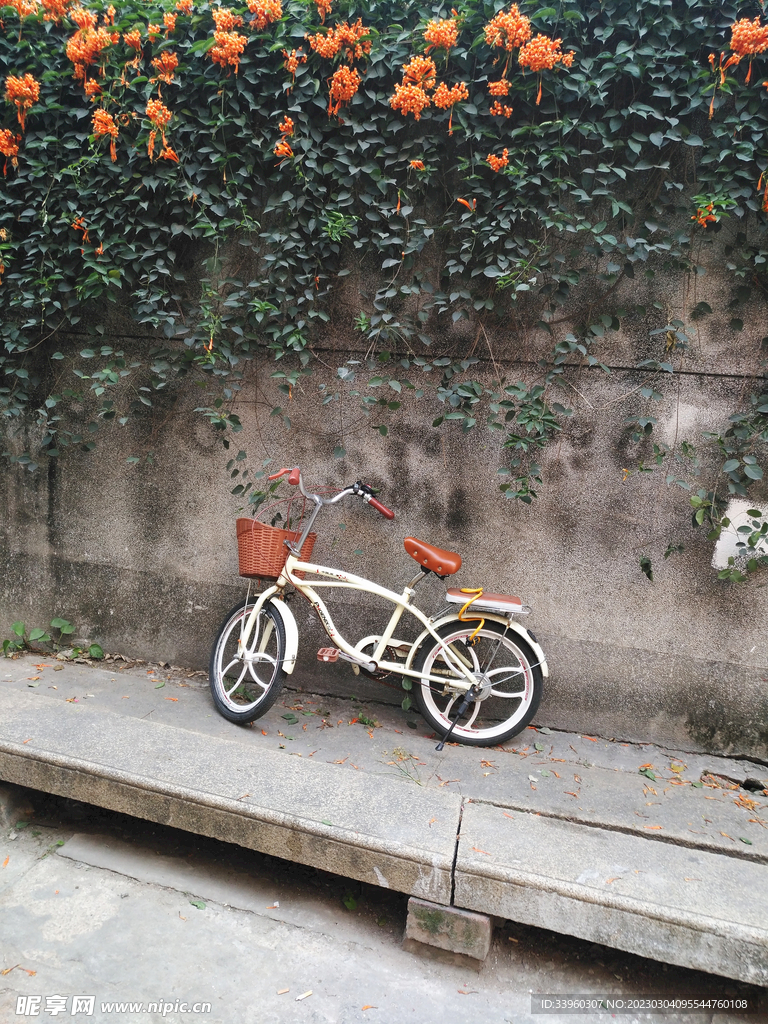 花下单车
