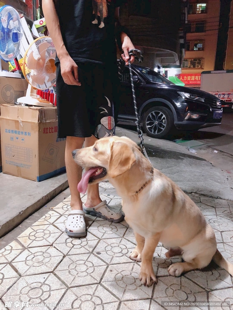 狗